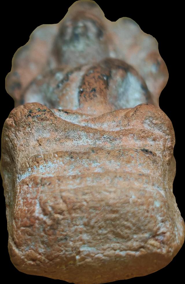 พระเนื้อดิน​ พิมพ์นาคปรก 5