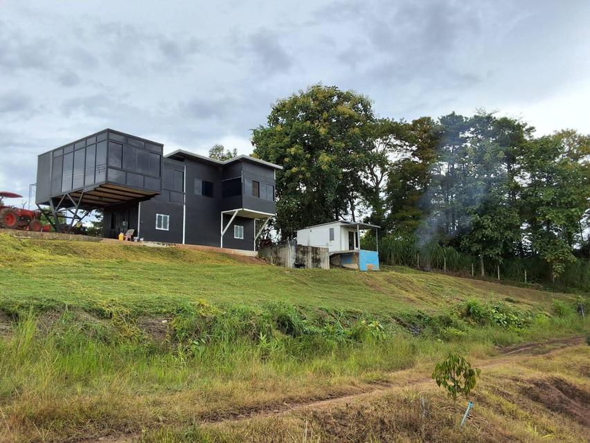 สวนทุเรียน พร้อมบ้าน 1