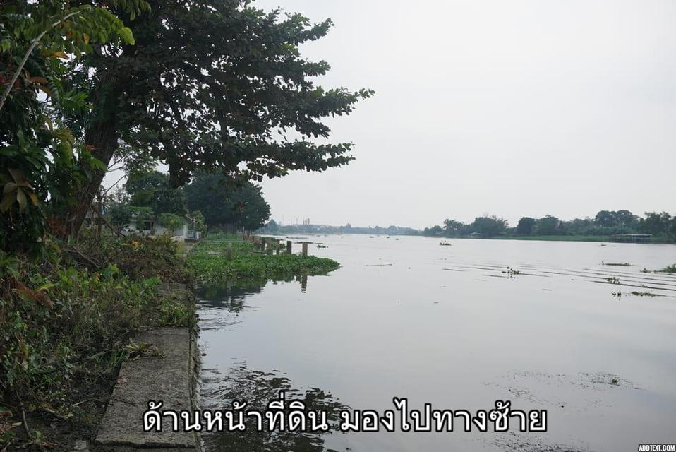 ขายที่ดินติดแม่น้ำท่าจีน อ.สามพราน จ.นครปฐม 7