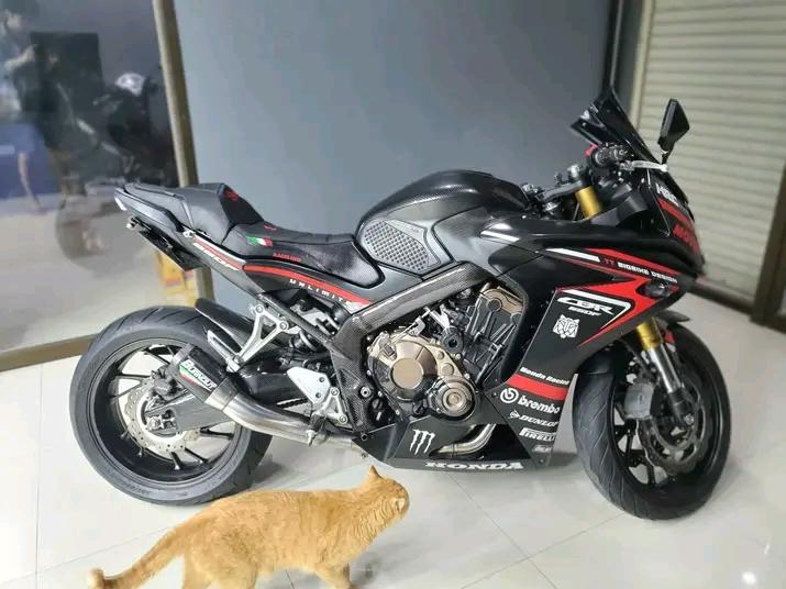 Honda CBR650 เท่ๆ 4