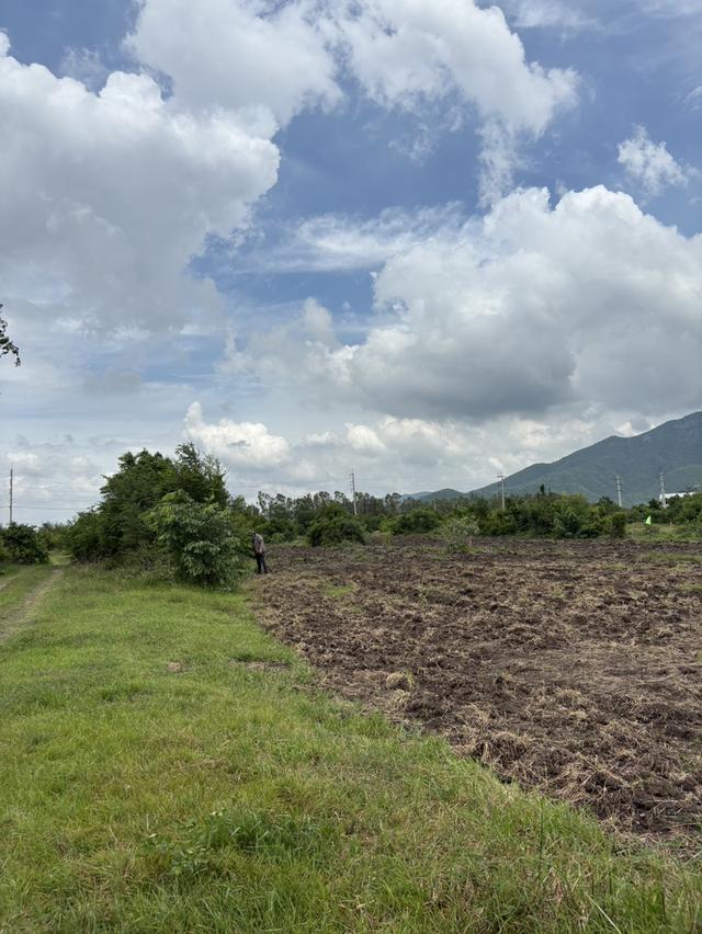 ที่ดิน โคกสำโรง จ. ลพบุรี สด ผ่อน