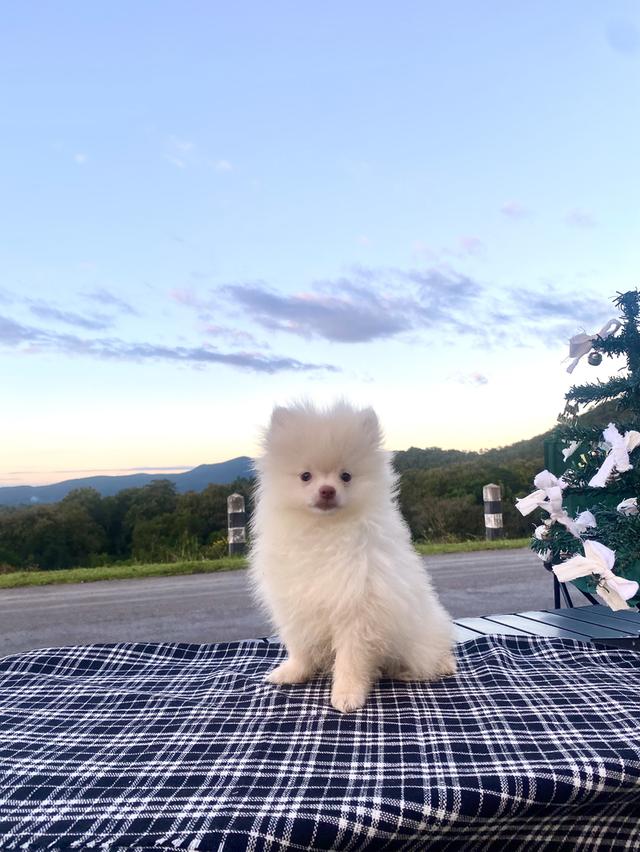 ปอม ชายจริงหญิงแท้ น่ารักๆ