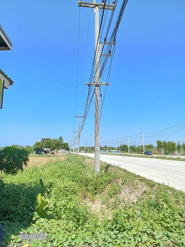 ที่ดินติดถนนเชียงใหม่-พร้าว อ.สันทราย จ.เชียงใหม่ 3