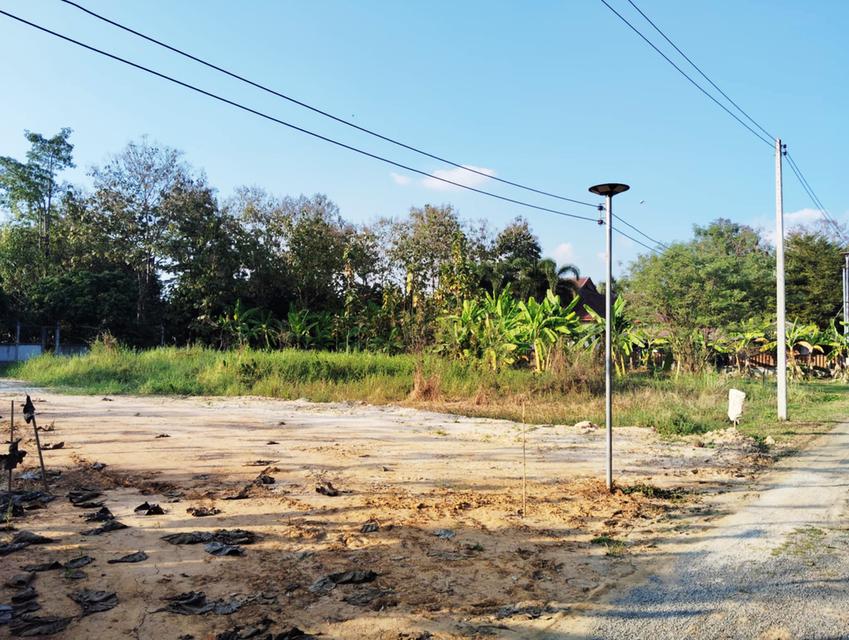 ขายที่ดิน 4