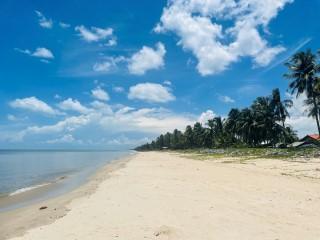 ขาย 3 ล. ที่ติดทะเล 1ไร่ 24วา ติดหาดยาว 67 เมตรอยู่ระโนด สงขลา  1