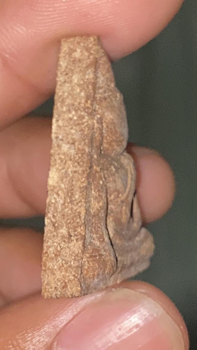 พระนางพญา องค์สวยแท้ รูปที่ 2