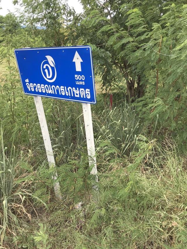 ขายที่ดินแปลงสวย ทำเลดี ติดถนนใหญ่ ตรงข้ามกับบริษัท ฟู่เซิง จำกัด อำเภอดอยหล่อ-จอมทองจังหวัเชียงใหม่ 2