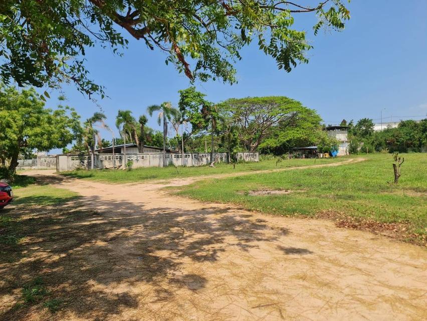 ขายที่ดินพัทยาใต้ ซอยสุขุมวิท 58 และ 60  13