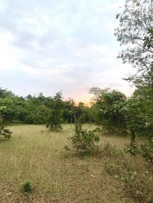 ที่ดิน 9 ไร่ 1 งาน 7 ตรว 12