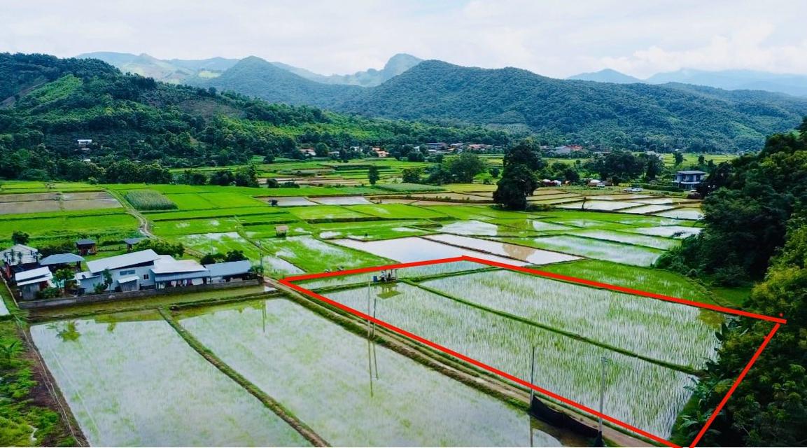 ขายที่ดิน ปัว น่าน 707 ตร.ว. ราคา 1.9 ล้าน 7