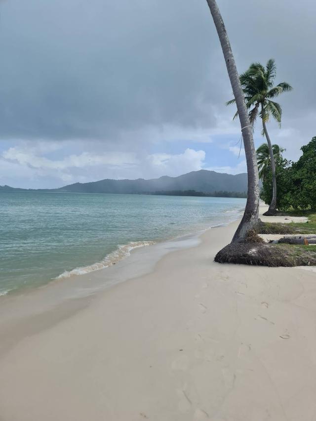 🏝️ ขายที่ดินติดทะเล ทำเลหายาก บนเกาะยาวใหญ่ จ.พังงา 1