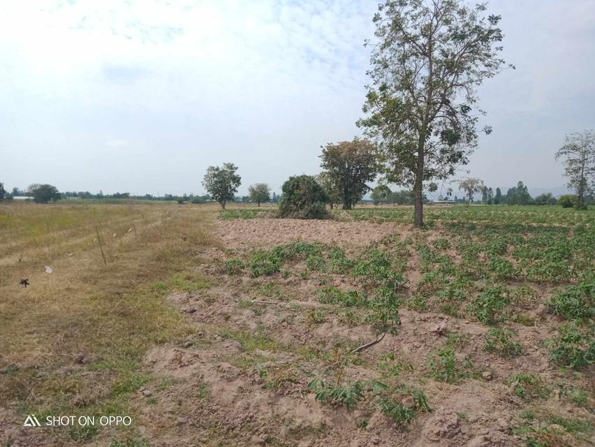 ที่ดินเหมาะสำหรับทำการเกษตรและบ้านพักอาศัยเศรษฐกิจพอเพียง 5