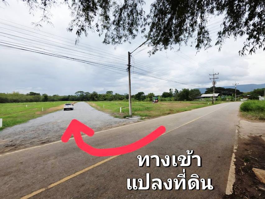 ขายที่ดินหมูสี ปากช่อง เขาใหญ่ สูงกว่าระดับน้ำทะเล 375 เมตร ทำเลทองหล่อเขาใหญ่  ราคาดีที่สุด รีบจองก่อนหมด ใกล้ธนะรัชต์ 3