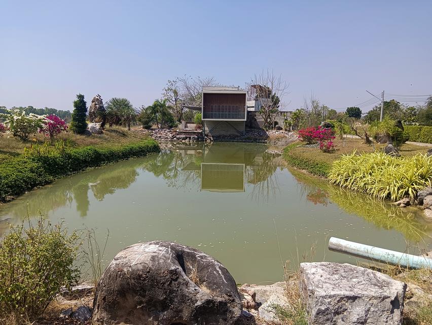 ขายที่ดินเนื้อที่ 9-1-52.4 ไร่ พร้อมสิ่งปลูกสร้าง ต.ทุ่งหลวง อ.ปากท่อ จ.ราชบุรี 13