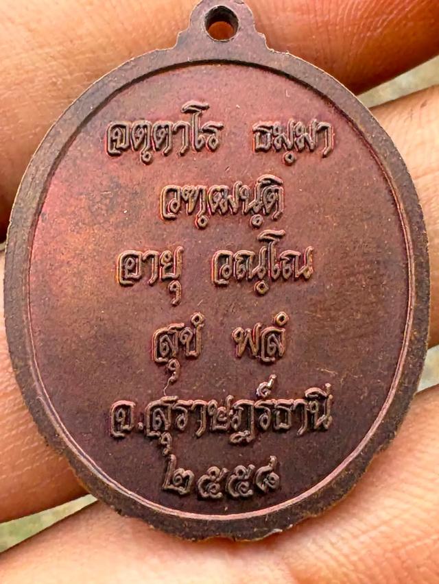 พระเครื่องหลวฃปู่แสง รูปย่อยที่ 2
