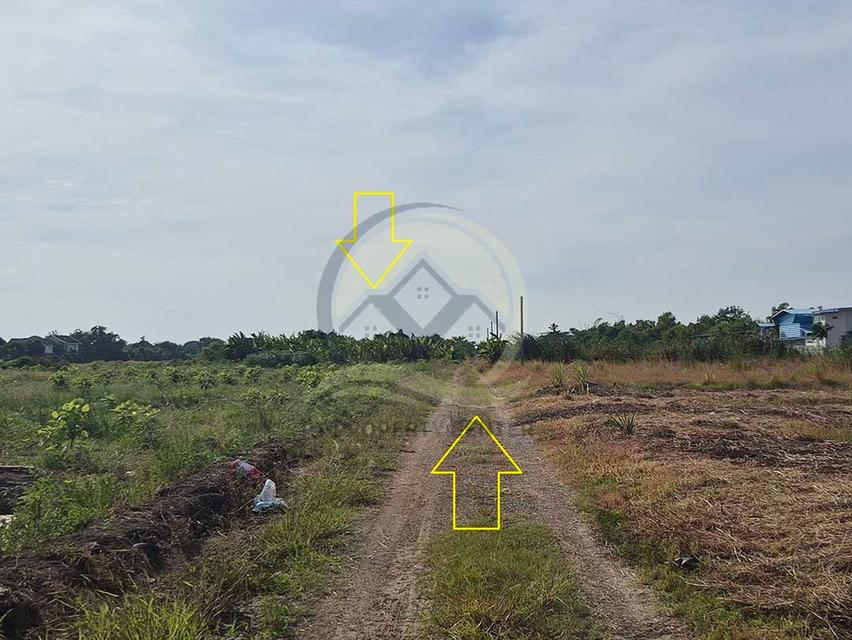 ขาย ที่ดินเปล่า 1-1-33 ไร่ ( 533 ตร.ว. ) ซ.บึงบอน 11 ถ.รังสิต-นครนายก  จ.ปทุมธานี  3