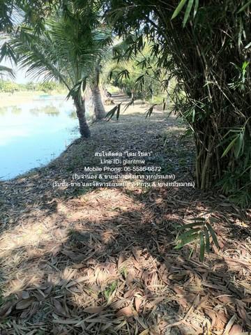 บ้าน ขายที่ดินติดถนน มีบ้านสวนผลไม้ มีบ่อปลา และมีโกดังเก็บของ พร้อมโรงจอดรถ 1-3-79 ไร่ ต.บึงน้ำรักษ์ อ.บางน้ำเปรี้ยว จ. 7