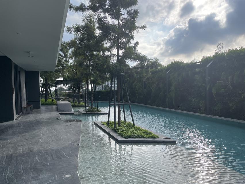 ให้เช่า Whizdom Inspire Sukhumvit ใกล้ BTS ปุณณวิถี 11