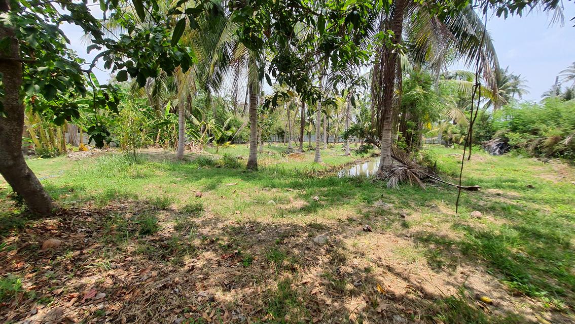 ขายด่วน ขายถูก รีสอร์ท & โฮมสเตย์ ติดแม่น้ำเพชรบุรี ต.บางครก อ.บ้านแหลม  จ.เพชรบุรี 8