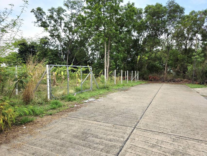 ขายที่ดิน 155 ตรว. ธัญบุรี รังสิต-คลอง3 ปทุมธานี ติดเลค 6