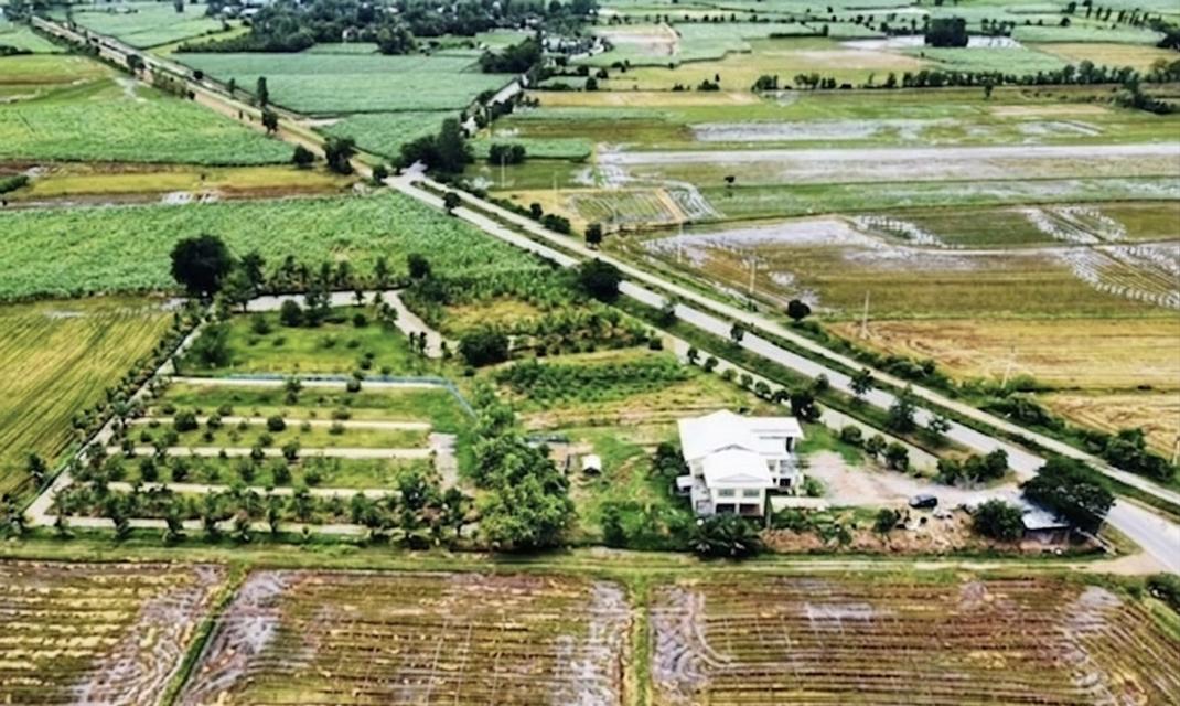 บ้านพร้อมที่ดิน 10 ไร่ 18 ตรว 2
