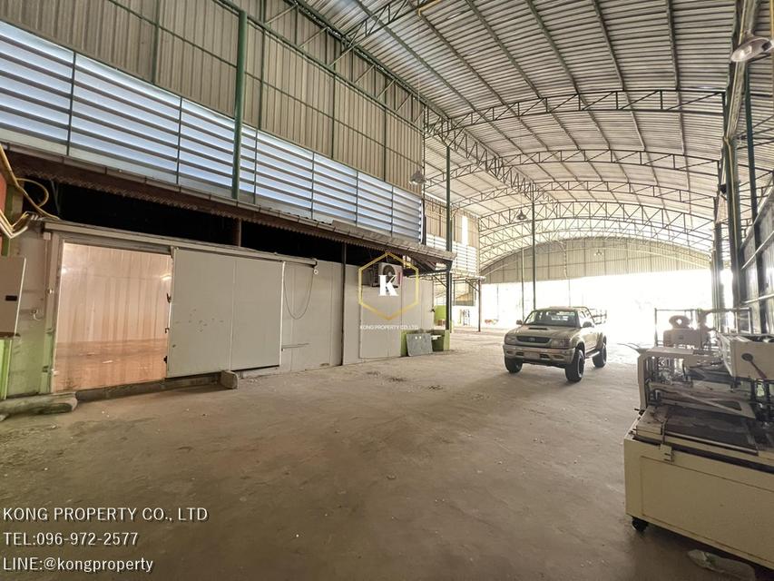 ให้เช่าโกดัง ล้งมะพร้าว พร้อมห้องเย็น สามพราน นครปฐม ขนาด 2 ไร่ 5