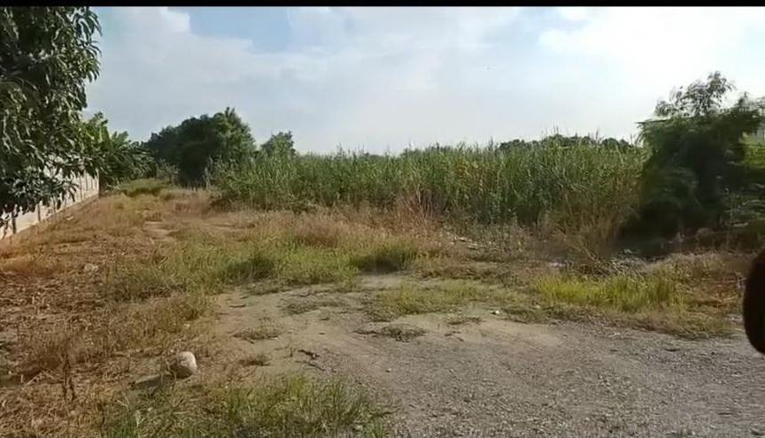 ขายที่ดินซอยวัดลาดปลาดุก 10 ไร่ 1
