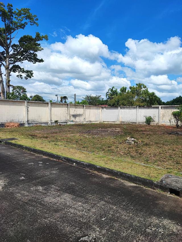 ที่ดินเปล่าในโครงการ  พร้อมสร้างบ้าน 2