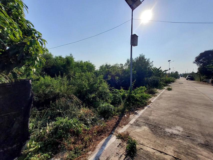 ขายด่วนที่ดินถนนฤชุพันธุ์ 568 ตรว ติดถนนคอนกรีตสาธารณะ ซ.ฤชุพันธุ์ 4 อ.ไทรน้อย จ.นนทบุรี 2