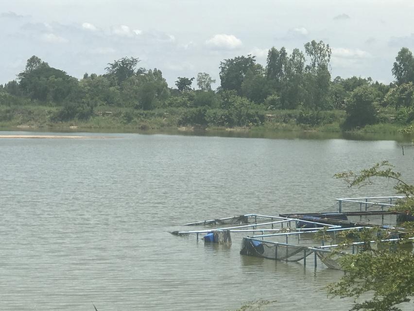 ขายที่ดินสวย เนื่อที่ 14ไร่ 3งาน22ตารางวาอ.เมือง จ.ขอนแก่น 6