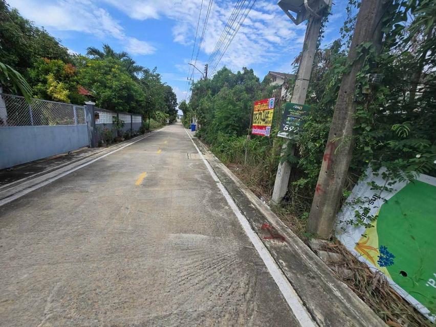 ขายด่วนที่ดินใกล้เซ็นทรัลศาลายา 91 ตรว ติดถนนคอนกรีตสาธารณะ ถมแล้ว ซ.หอถังประปา รพช. อ.พุทธมณฑล จ.นครปฐม 4