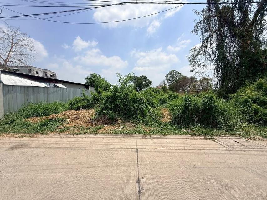 ขายที่ดินใกล้รถไฟฟ้า 309 ตารางวา - ติ ติดถนนสาธารณะ ต.คูคต อ.ลำลูกกา จ.ปทุมธานี 5