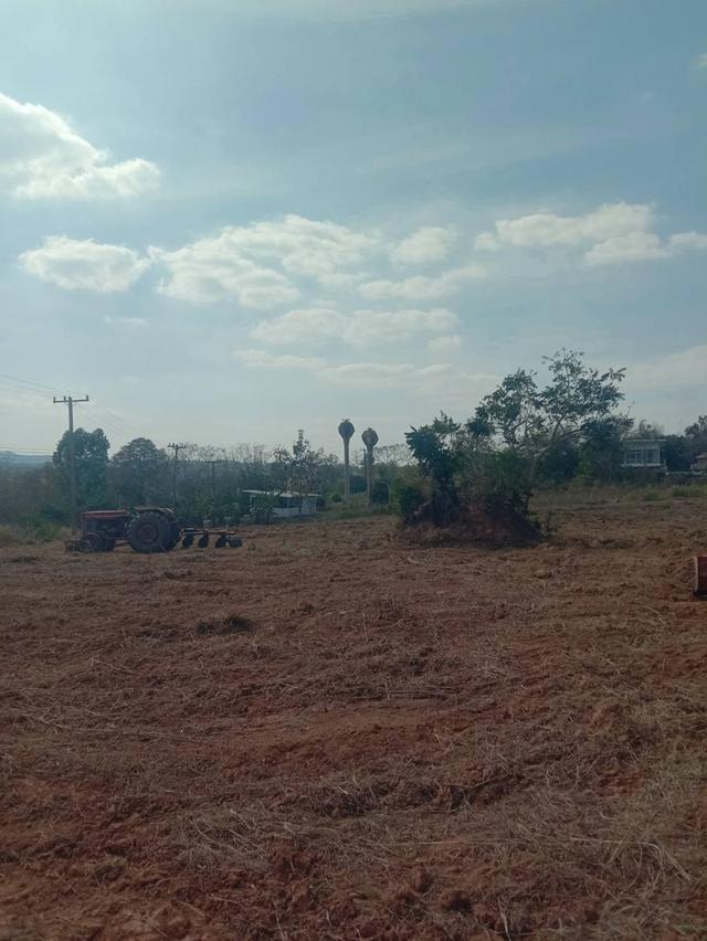 ที่ดินเปล่า มีหลายไร่ แบ่งขาย 1 ไร่ 6 แสน บ้านศิลางาม  วังน้ำเขียว รูปที่ 15