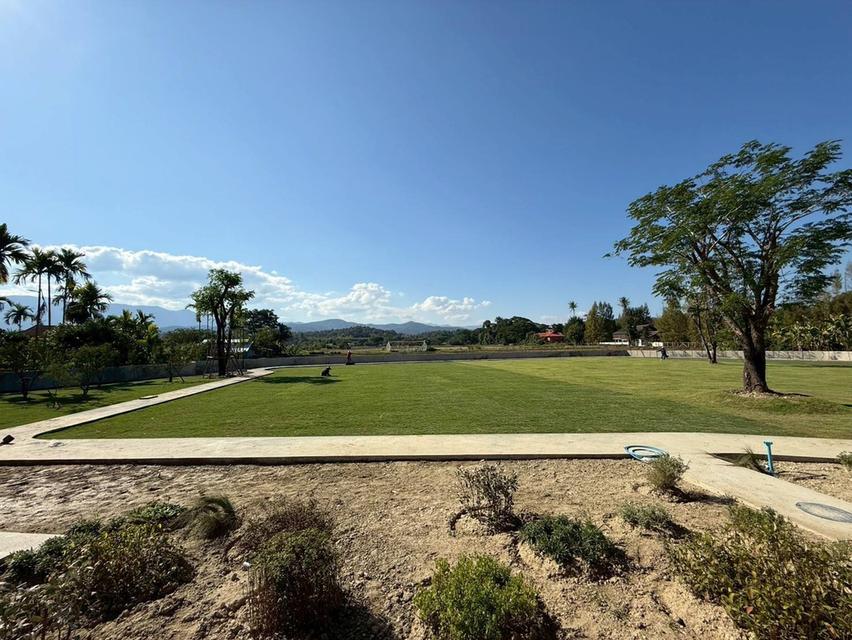 🏰 บ้านเดี่ยวชั้นเดียวพื้นที่จุใจ 4 ไร่+ 5 ที่จอดรถ ราคา 20.9 ลบ. ทำเลดีนัดชมได้ครับ/ค่ะ ✅ 8