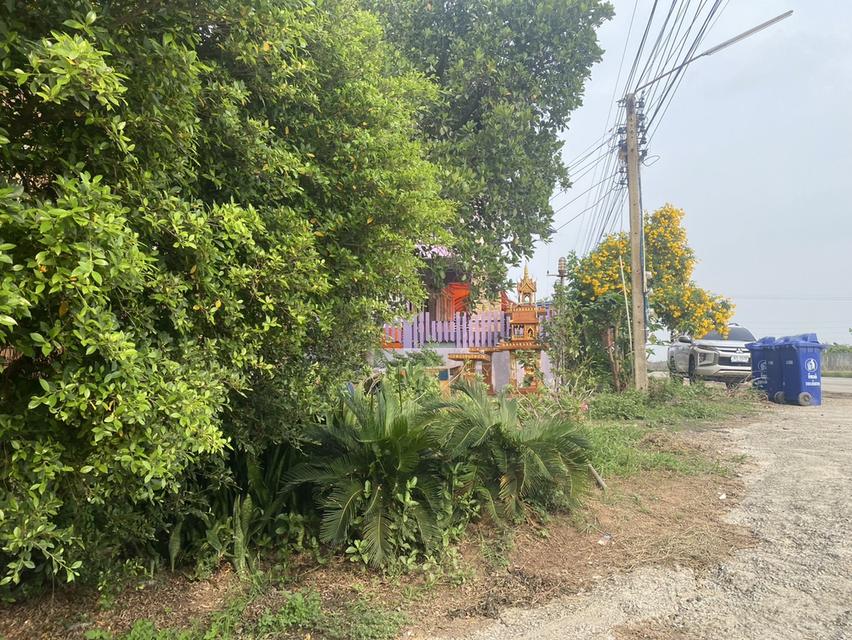 มีสิ่งปลูกสร้างอยู่บนที่ติน ด้านหลังถมแล้ว อยู่ติดถนนสามารถ ไปอำเภอพานทองและโรงไฟฟ้าบางปะกงได้ 5