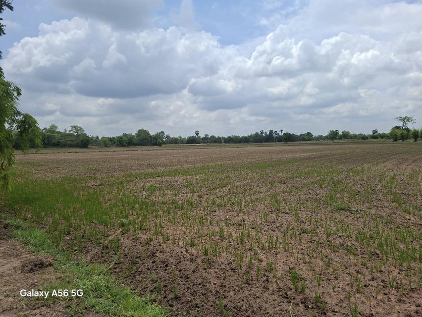 ขายที่ดิน 31 ไร่ 322 ตร.วา ติดถนนใหญ่ หนองขาหย่าง อุทัยธานี ผังเมืองสีชมพู 11