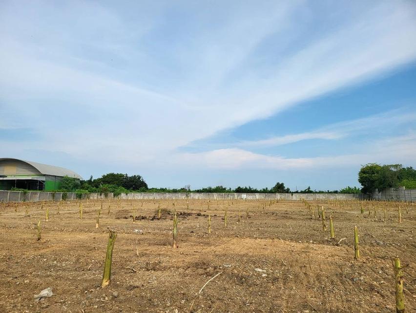 เช่าที่ดิน บางกระเจ้า 3