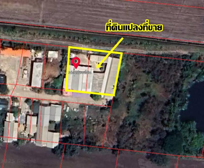 ขายที่ดินพร้อมสิ่งปลูกสร้าง ซอยอนามัยราษฎร์นิยม ไทรน้อย นนทบุรี 4