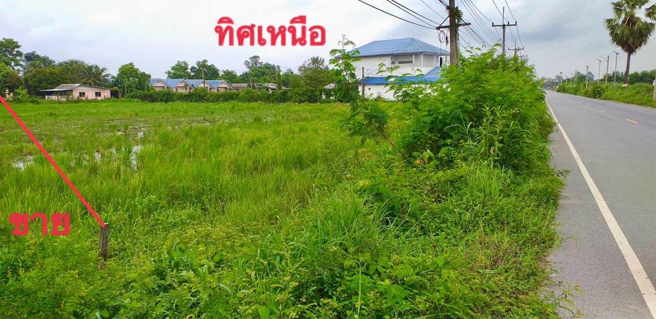ขายที่ดิน 4 ไร่ ต.ท่าช้าง อ เมืองนครนายก ติดถนนดำหน้ากว้าง 70 ม 3