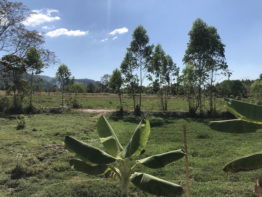 ที่ดิน ราคาถูก วิวเขา โฉนด ครุฆเเดง ไกล้ กทม เดินทางสะดวก 6