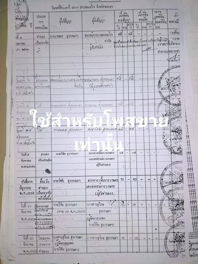 ขายที่นา 15 ไร่ อ.แม่ใจ จังหวัดพะเยา 2