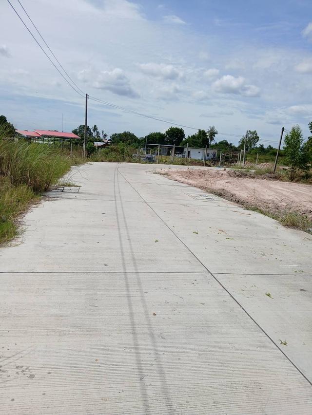ขายที่ดินบึง หนองแขวะ 1 ไร่ ติดถนนคอนกรีตใกล้ท่าเรือแหลมฉบัง-9กม. อ.ศรีราชา ชลบุรี