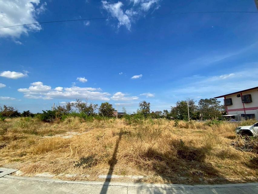 Vายถูกที่ดินบางโฉลง 284 ตารางวา ติดถนนคอนกรีตสาธารณะ ถมแล้ว ซอยพูลเจริญ อ.บางพลี จ.สมุทรปราการ 4