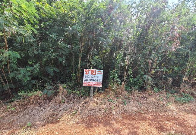 ขายที่ดิน ถนนฤชุพันธ์(บางบัวทอง-สุพรรณบุรี) ตำบลไทรใหญ่ อำเภอไทรน้อย นนทบุรี 5