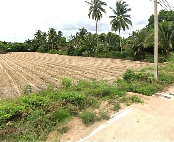 ขายที่ดินศรีราชาชลบุรี ขายที่ดินศรีราชาขนาด 11 ไร่ ผังสีเหลืองEAST WATER หุบบอน และใกล้นิคมอุตสาหกรรม เหมราช บ่อวิน และ 2