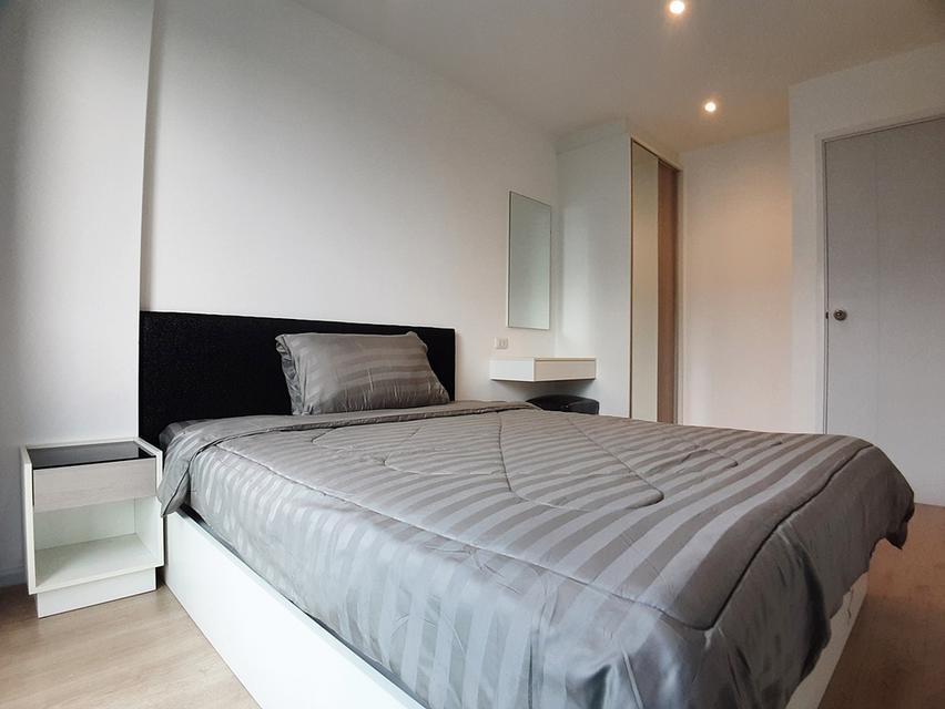 Condo 8