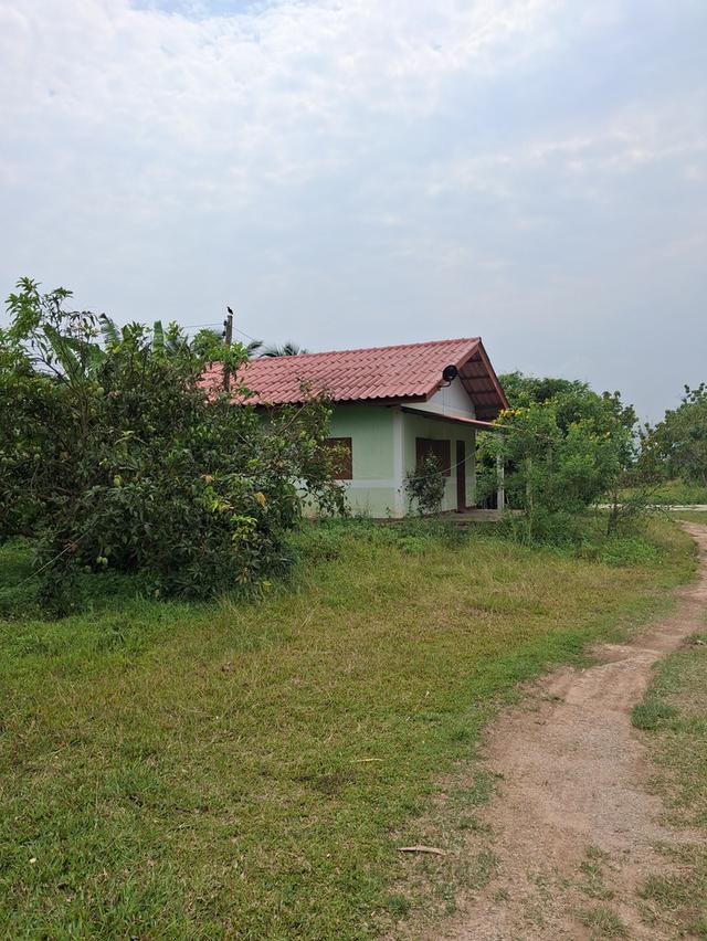 บ้านพร้อมที่ดิน อ.แม่ใจ.จ.พะเยา 2569 3