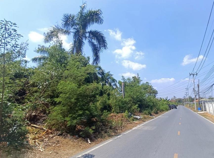 ที่ดิน อ้อมใหญ่ สามพราน นครปฐม 8