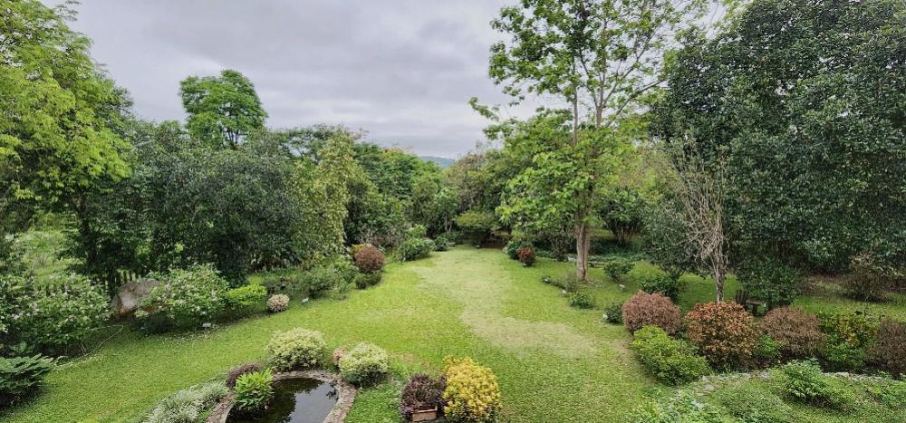 Villa khao yai for sale ขายบ้านพักตากอากาศเขาใหญ่ 3 ไร่ อยู่เส้นธนะรัชต์ ท่าช้างบ้านไร่ หมูสี บ้านสวยพร้อมสวนขนาดใหญ่ ใกล้อุทยานแห่งชาติเขาใหญ่ 18