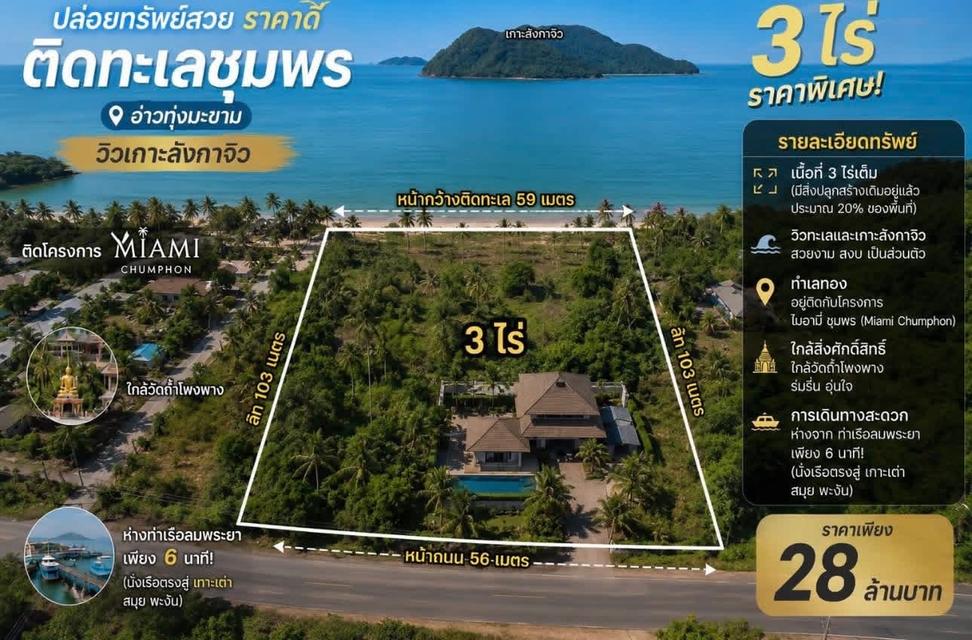 🏖️ 🌊ปล่อยทรัพย์สวยราคาดี วิวทะเล ติดทะเลชุมพร(อ่าวทุ่งมะขาม)  3-0-29 ไร่ วิวเกาะ (เกาะทองหลาง) 2